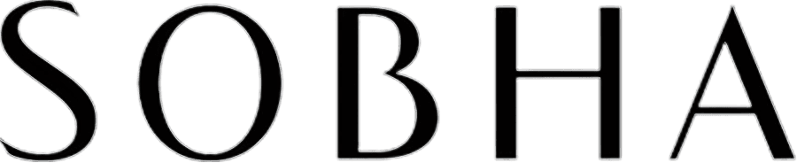 Developer